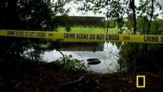 Killer Gator | National Geographic