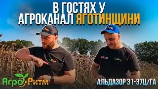 КИЇВЩИНА:ЯК АГРОКАНАЛ ЯГОТИНЩИНИ ЗБИРАЄ АЛЬДАЗОР ТА ПЕРЕЖИВАЄ КРИЗУ.