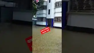 বন্যা*র পানিতে বাড়ির উঠান ভর্তি #বন্যা_পরিস্থিতি #বন্যা২০২৪ #বন্যারখবর  #বন্যায় #বন্যার #বন্যা