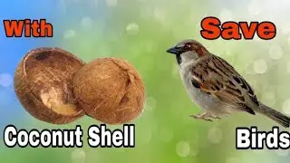 Best Out Of Waste | Bird Feeder from Coconut shell | Coconut Shell Craft Idea | Art n Creations