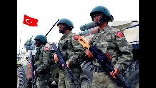 И. Полонский. Зачем Турция начала военную операцию в Сирии