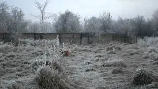 Чак и компания...