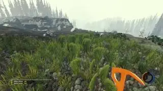 The Forest #2 (В поисках чего-то)
