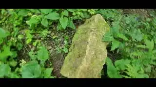 Битый фундамент в лесу.