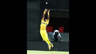 Best catch in Cricket History ever
