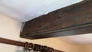 Penetrating Damp- What do we recommend?
