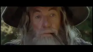 Gandalf the Party Wizard