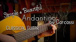EASY Classical Guitar | Andantino by Carcassi | Beautiful Classical Guitar Music