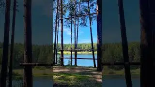 15 июня 2023 г.