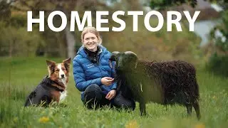 Pferd, Hund und zwei Adoptivschafe - Homestory EQUIVA Talent Johanna