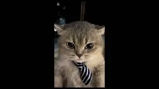Когда клиент. думает, что ты работаешь 24/7