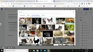 How To Insert Photos and Text on a Google Site