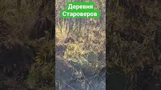 Поперечное Село Староверов 30 сентября Восточный Казахстан