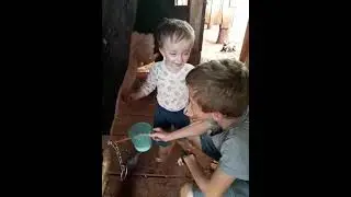 Small boy milking a cow 🐮 🐄