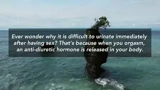 Psychological Facts About Human Body #sex