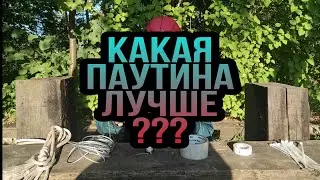 😱😎🕸❤ИЗ ЧЕГО МОЖНО СДЕЛАТЬ ПАУТИНУ? 😎❤😱
