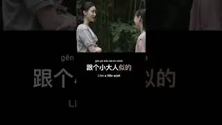 HSK 5 Grammar - N+似的 #shorts #chinesezerotohero