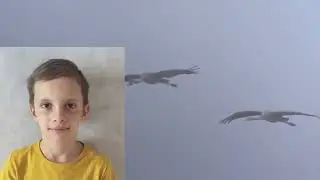 Хор Мелодия Журавли
