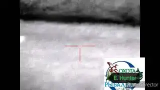 В угодиях посчитали зверя...