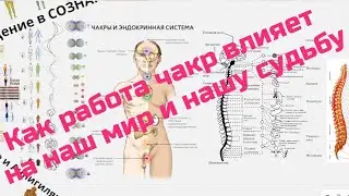Как работа чакр влияет на наш мир и нашу судьбу