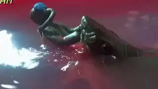Shark attack!