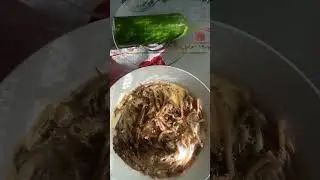 ВКУСНЫЙ И БЫСТРЫЙ ПП ЗАВТРАК || ГРЕЧНЕВЫЕ СПАГЕТТИ С ЯЙЦОМ В МИКРОВОЛНОВКЕ