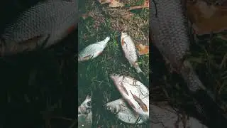 24.09.22 бель точка холодная вода