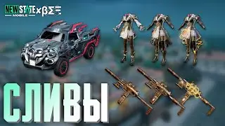 Сливы скинов мартовского обновления New State Mobile