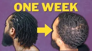 From Locs to 360 Waves: One Week Progress - Building the Foundation!