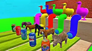 Fountain Crossing With Elephant Tiger Dinosaur Rabbit | fountain crossing animals | paint animals