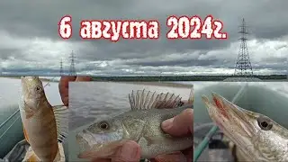 6 августа 2024г.Городская протока.