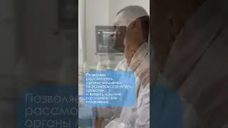 УРОЛОГИЯ.УЗИ мошонки БЕСПЛАТНО в Клинике Николая Доценко 