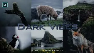 Lightroom Mobile Dark Vibes Presets | Free DNG and XMP Preset