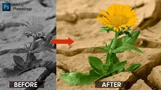 How To Colorize a Black And White photo In Photoshop 2022