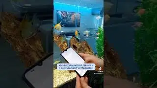 Умные замки в наличии и на заказ. Установка бесплатно.
