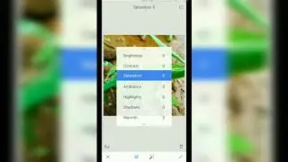 How to create color splash effect using Snapseed app