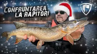 Confruntarea ⚔️ la Rapitori  |  Special de Craciun 🧑‍🎄