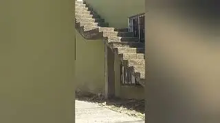 que opinan los albañiles