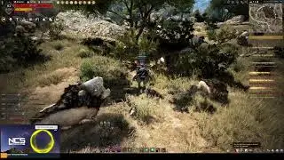 RU/LT Black Desert Online сбор/кулинарка/алхимка/бартер/паки/крафт. 11/08