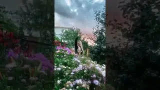 GUMA даёт летнего вайба