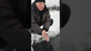 вертолет и голавль