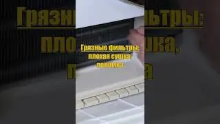 Как не угробить сушильную машину? | Главное за минуту #shorts  #бытоваятехника #сушилка #dryer