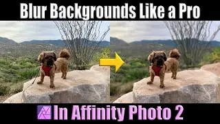 Blur Backgrounds Like a Pro with Affinity Photo 2