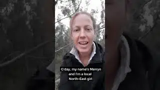 NewAccess Coach Merryn | North East Victoria