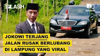 Jokowi Terjang Jalan Rusak Berlubang di Lampung yang Viral - Asumsi Flash