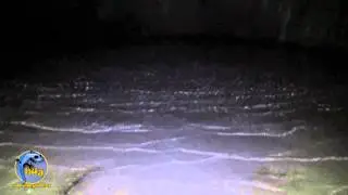 La Grotta dello Scalandrone - Il Trailer