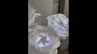 Цветная динамика декоративных элементов (RGB контроллер Larnitech)