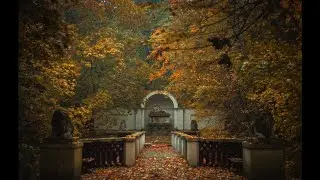 Discover the Magic of Autumn at the College of Europe in Natolin 🍂