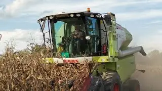 Od setve do žetve 2022 .From seeding to harvest wheat 2022 👌