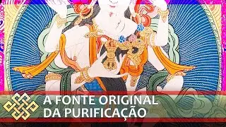 O corpo de sabedoria da expansão da pureza primordial